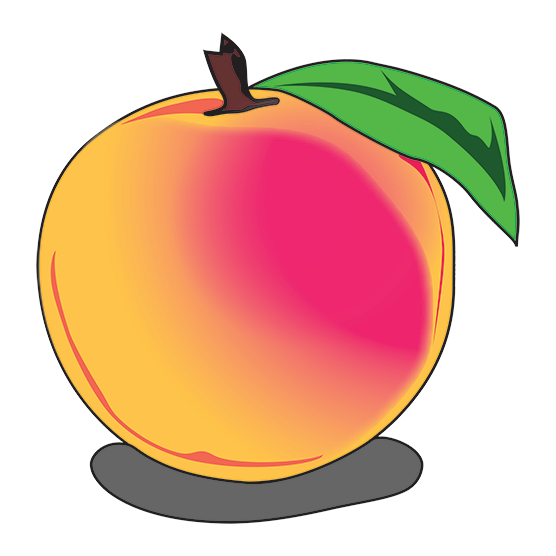 Peach Software v12